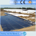 HDPE Geomembrane HDPE Teich Liner Fischfarm Teich Liner